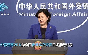 華春瑩入選「國家級抗疫表彰對象」 網傻眼：幹了啥？就動動口