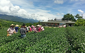 不一樣的農場體驗！5座特殊主題農場等你挖掘