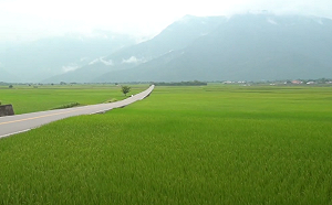 農田水利會10/1改制公務機關！召兵買馬招考259人10月考試