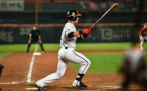 中職／只要林安可雙響砲就贏　猛獅無敵4連勝