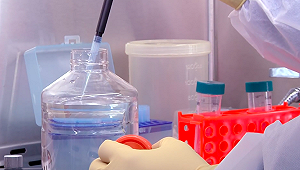 川普稱疫苗大選前上市 專家：不可能的事