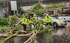 中國警報響不停！「米克拉」今晨登福建  風強雨大廈門一片狼藉