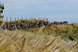 步行爬山護生態！大屯山車道即日起禁止車輛進入