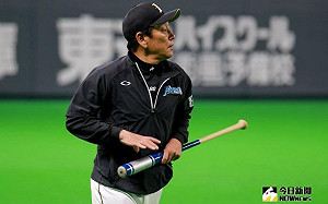 日職／栗山監督考慮「美式輪替」　王柏融可望上一軍？