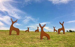 與白色巨鶴一同草坡奔跑！歷時3年官田遊客中心正式啟用