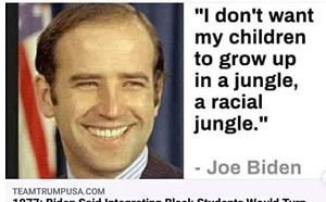 偽君子？  網傳1977年拜登發表歧視言論  今提名非裔副手