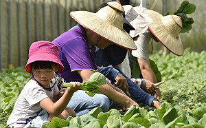 農遊券這樣用！8條路線玩宜花19座特色農場