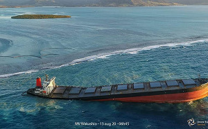 只因船員想連WIFI？ 日本貨輪在印度洋擱淺 造成島國海域生態浩劫