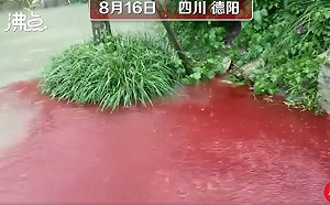 血流成河？四川積水路面蔓延「詭異紅色不明液體」民眾聞到腥臭味