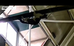 (影)市場驚見貓咪吊高處即將墜落　眾人協力出手即刻救援！