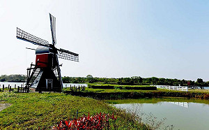 光看就療癒！台南8處綠色草原景點好悠閒