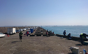 釣魚夯！航港局抽查全台14處商港釣點確保安全