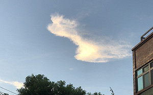 北部豔陽高照！雙北 桃園 金門極端高溫 慎防中暑