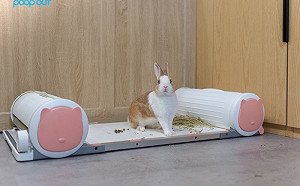 創夢市集》全球第一款無需水電的寵物便盆   POOPOUT力求照護寵物健康(下)