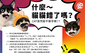 貓奴問CAT車牌何時有 公路總局:再等3至4年