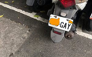 車牌將GAY納不雅字眼  同志團體：應開放選擇