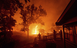 川普急發表災難聲明！野火吞噬加州燒了100萬英畝
