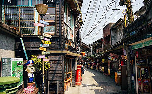 平溪深度遊尋找峭壁的精靈！珍稀豔紅鹿子百合花盛開中