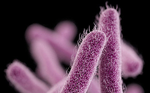 一波未平一波又起！中國驚傳「志賀氏菌」疫情共493人感染