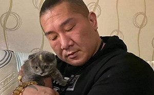 扯！館長豪擲23萬「買病貓」反被店家告  網虧：台灣第一位因貓被告的男人