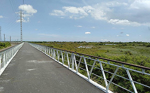 學甲3.5公里輕旅行！濱海溼地騎單車尋找黑面琵鷺