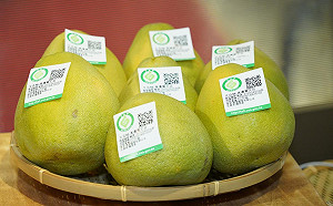 農遊券2.0明天開始登記！4步驟告訴你如何拿到柚香券