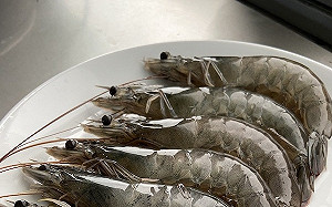 基改蝦紅素可作食品原料!衛福部:未依規定標示生產最高罰300萬