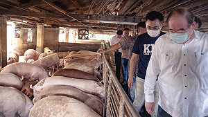 養豬農昨才知道政府將開放美豬  江啟臣轟:民眾能夠忍受嗎?