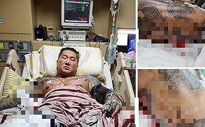 「港湖胖虎」高嘉瑜留言唱歌祝福館長 館粉嚇壞:母湯!