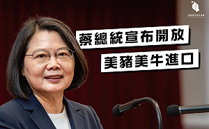 呼籲美豬美牛放寬暫緩 台青協︰無資訊公開與國人、豬農溝通