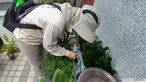 桃園再增1名登革熱病例！疾管署：可能和長安里群聚事件有關