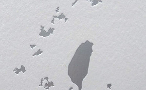 陳玉珍要的台澎金馬在這裡！民進黨連江黨部紀念酒外盒給更多