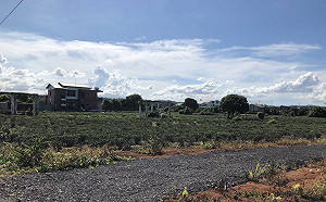 周末涼爽如秋天！這天起吹西南風 全台各地轉有雨