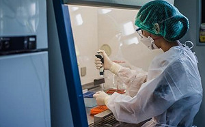 杮子挑軟的吃！中國駭客爆改駭美大學 竊武肺疫苗資訊