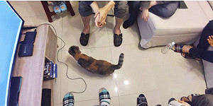 創夢市集》打造台灣高水準動作遊戲  「極度邊緣」佳績指日可待(下)