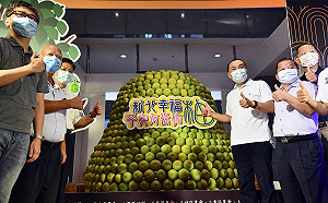 中秋節將至   新北幸福文旦柚禮盒上市