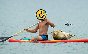 (影)野生海豹超好客　討抱「搭便車」瞇眼燦笑樣樣來！