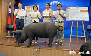 反美豬公投連署 國民黨：民進黨抵不住美國壓力 全民當後盾