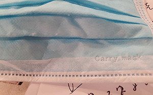 加利偽口罩  黃光芹也中槍大叫：X...