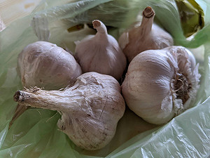 蒜價飆漲至每公斤400元！農糧署：進口量增  預計中秋節前回穩