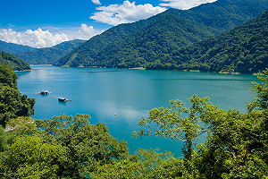 武界壩異常放水是老鼠惹的禍？台電：已排除此原因