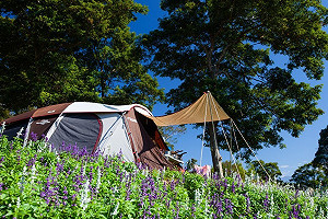 露營地合法嗎？觀光局「露營區查詢專區」馬上告訴你