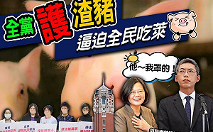 才高呼反權勢性侵就集體失憶 葉毓蘭 : 民進黨全黨護渣豬