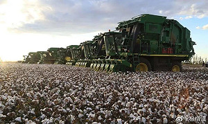 美對新疆再出手 連發5道暫扣令禁強迫勞動產品進口