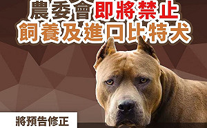 比特犬將禁養  陳吉仲：違反禁令者最高罰金25萬！