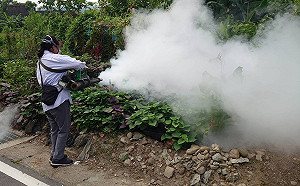 新北本土登革熱群聚 衛生局：經桃園龜山確診案接觸者健康調查發現