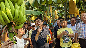 呼應陳其邁 港都將發動60家上市櫃廠商加入認購香蕉行列