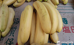 「蕉你來」鬼月禁忌蕉農心痛 嘉縣推出穩定香蕉價格因應措施