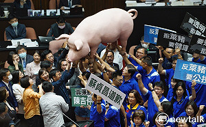 藍委立院抬「豬」抗議 蘇貞昌完全不理睬