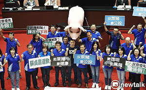 諷藍營在「巨豬」背後遮遮掩掩  黃澎孝:別再裝了  國民黨反美就反美